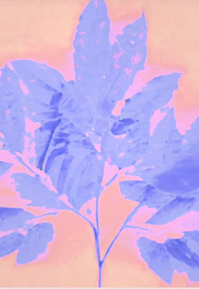 Ondoyances d'Automne